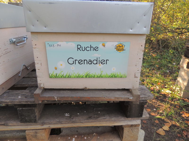 La ruche