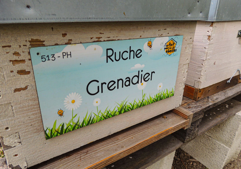 La ruche Grenadier