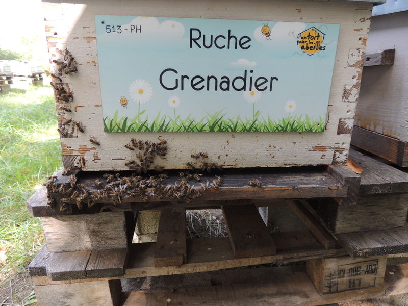 La ruche Grenadier