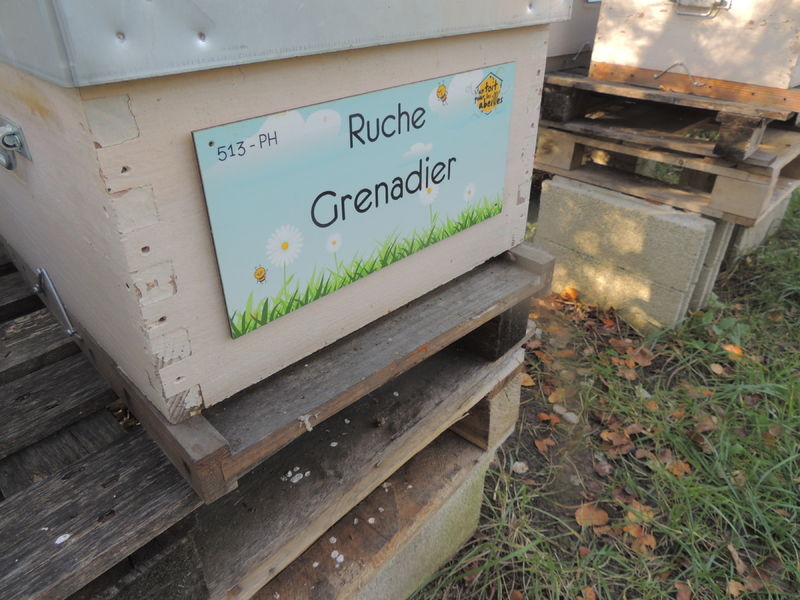 La ruche Grenadier