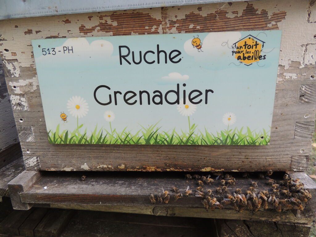 La ruche Grenadier