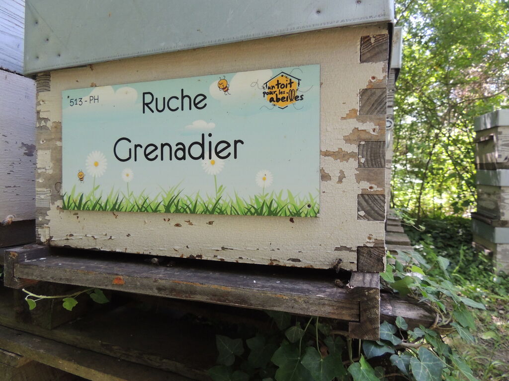 La ruche Grenadier