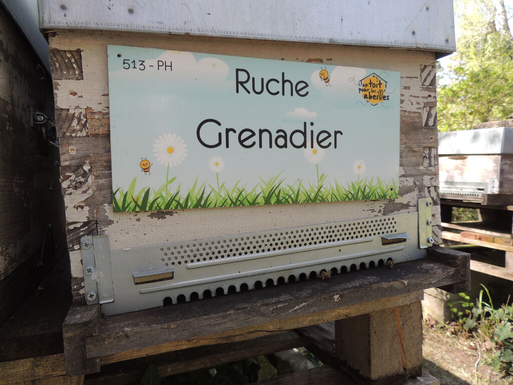 La ruche Grenadier