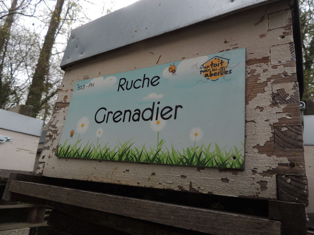 La ruche Grenadier