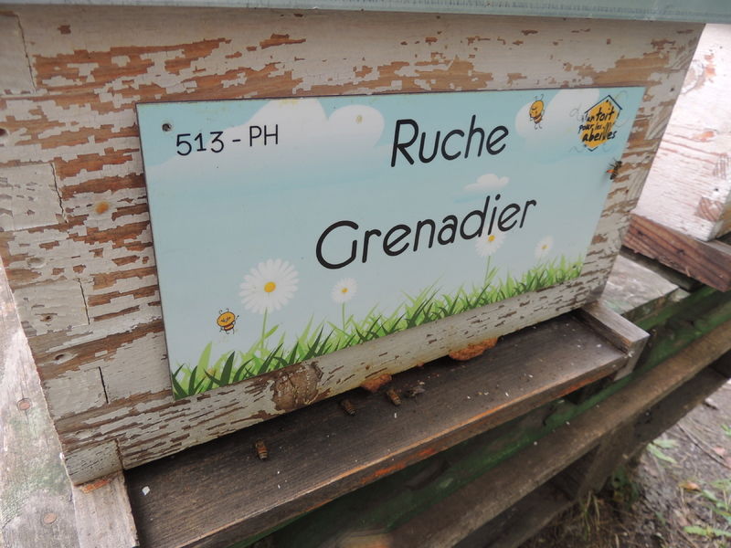 La ruche Grenadier