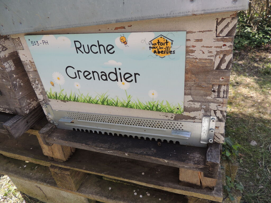 La ruche Grenadier