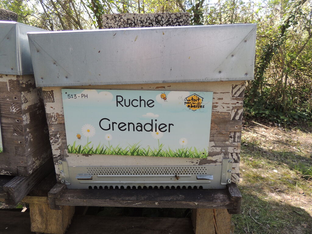 La ruche Grenadier
