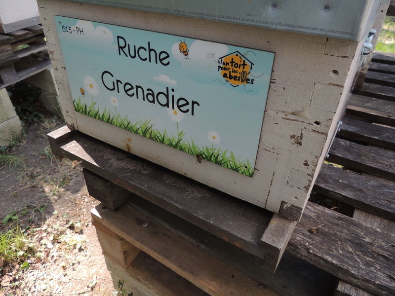 La ruche Grenadier
