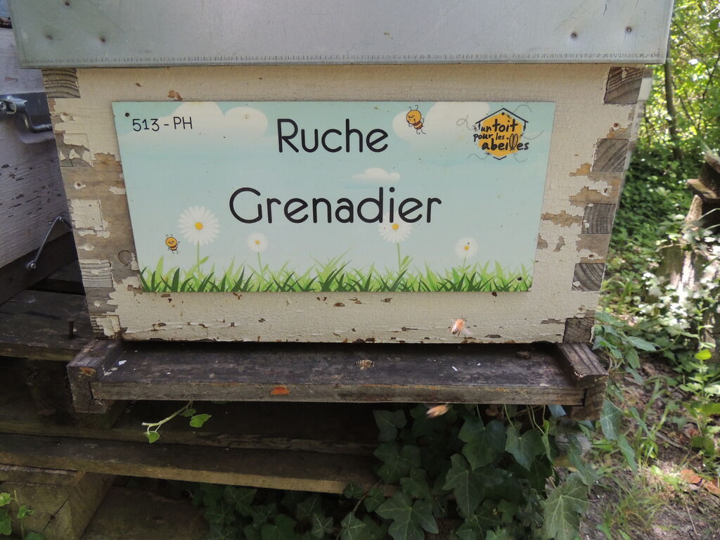 La ruche Grenadier