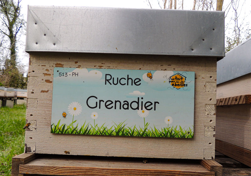 La ruche Grenadier