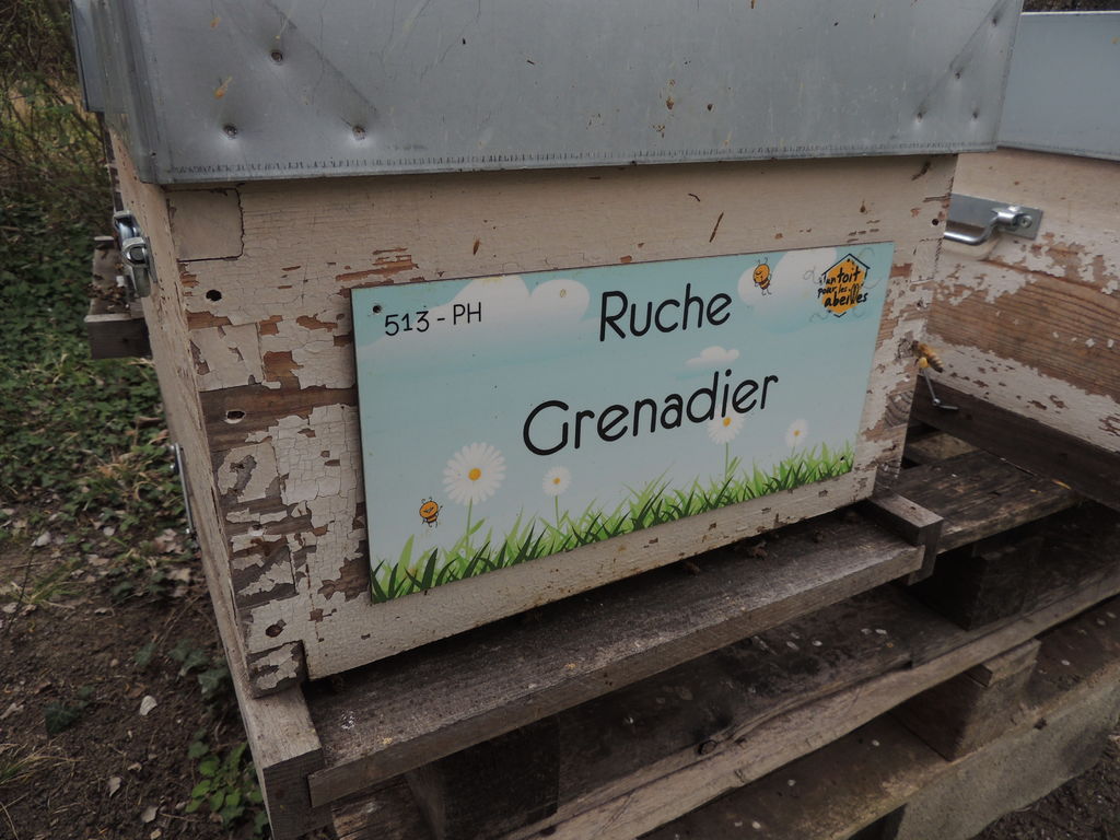 La ruche Grenadier