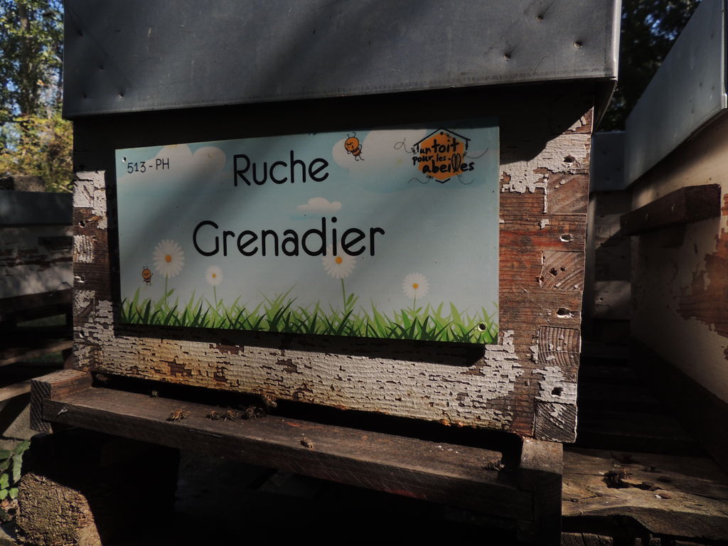 La ruche Grenadier