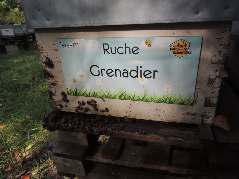 La ruche Grenadier