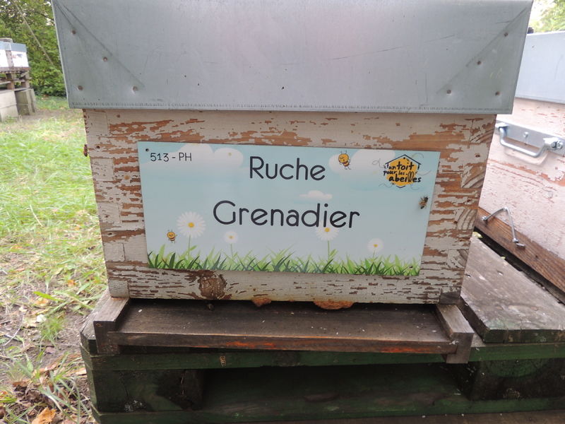 La ruche Grenadier