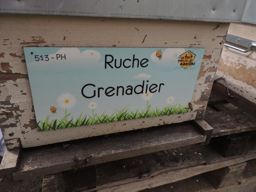 La ruche Grenadier