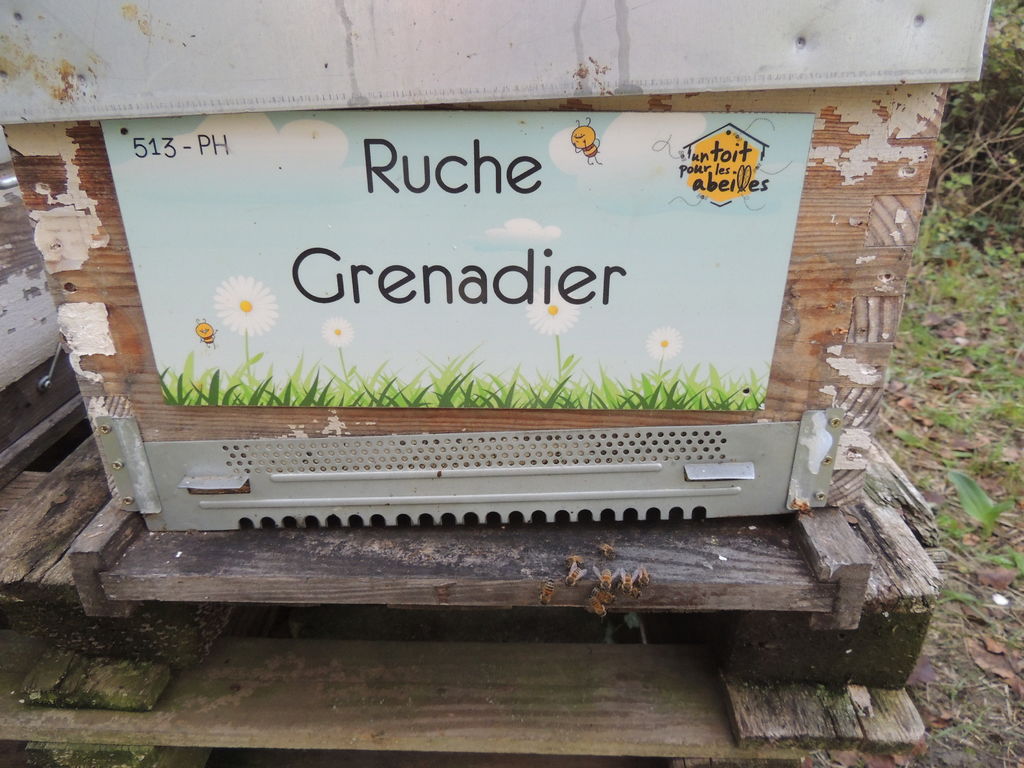 La ruche Grenadier