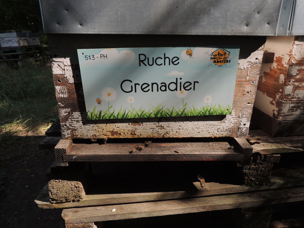 La ruche Grenadier