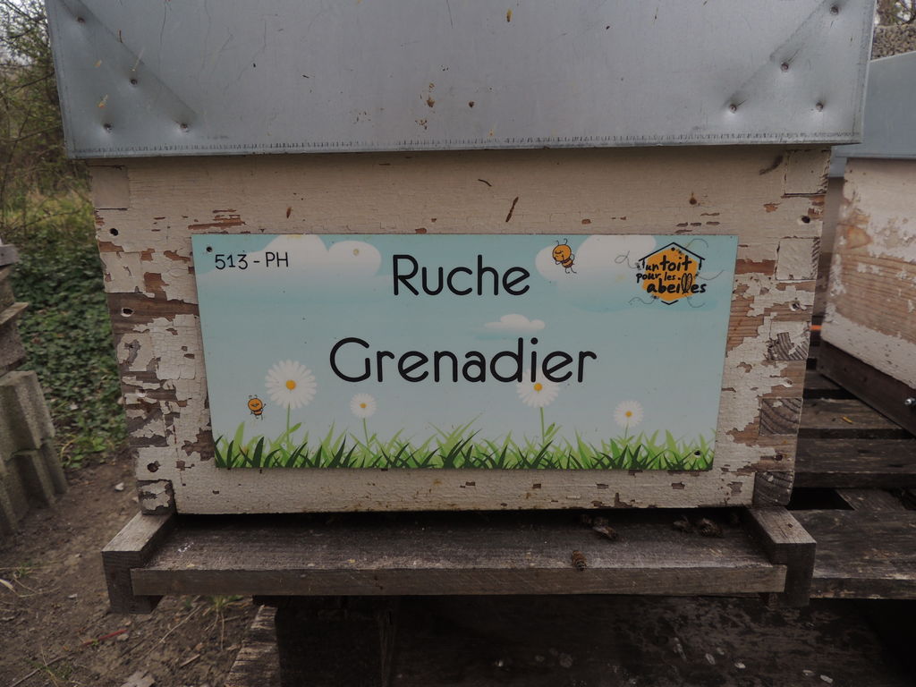 La ruche Grenadier