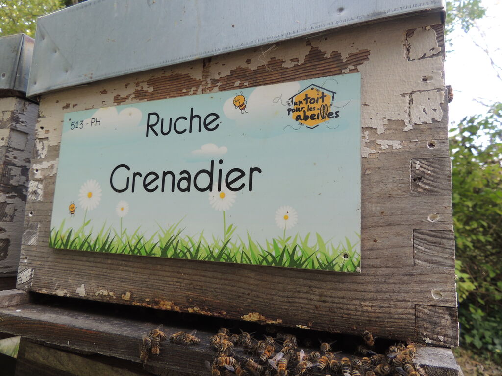 La ruche Grenadier