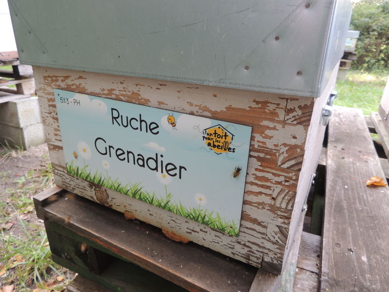La ruche Grenadier