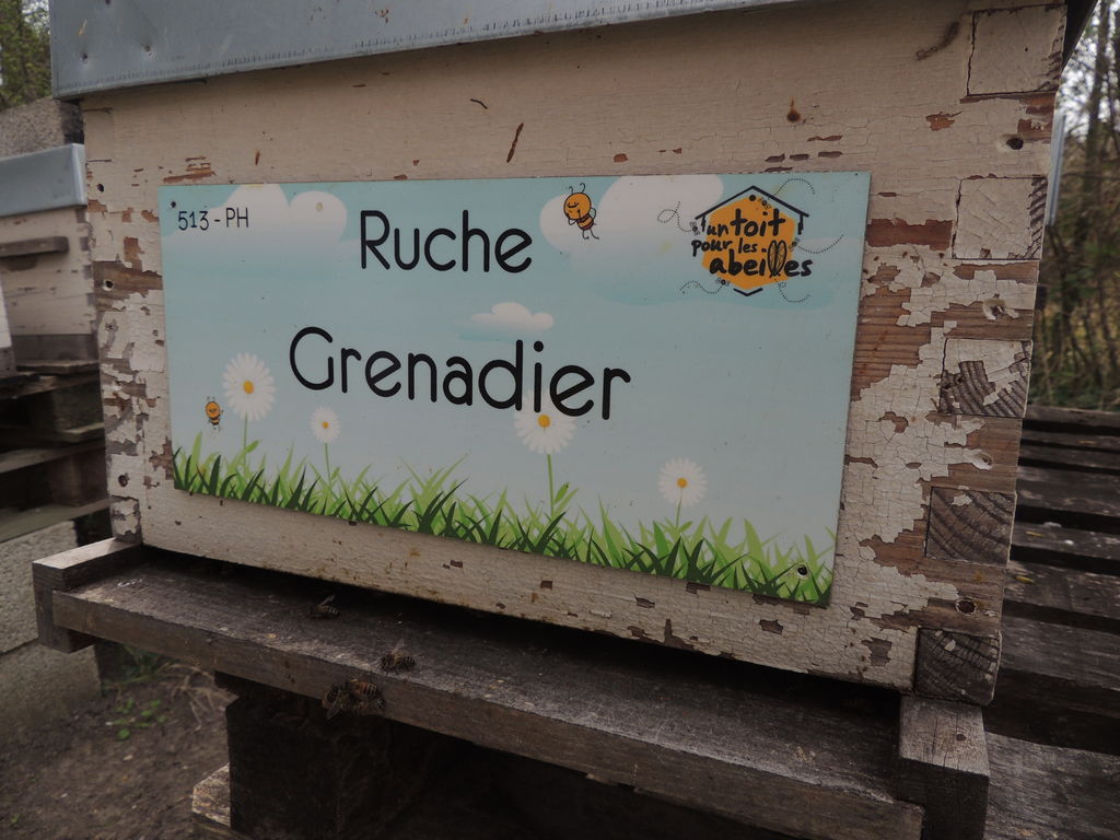 La ruche Grenadier