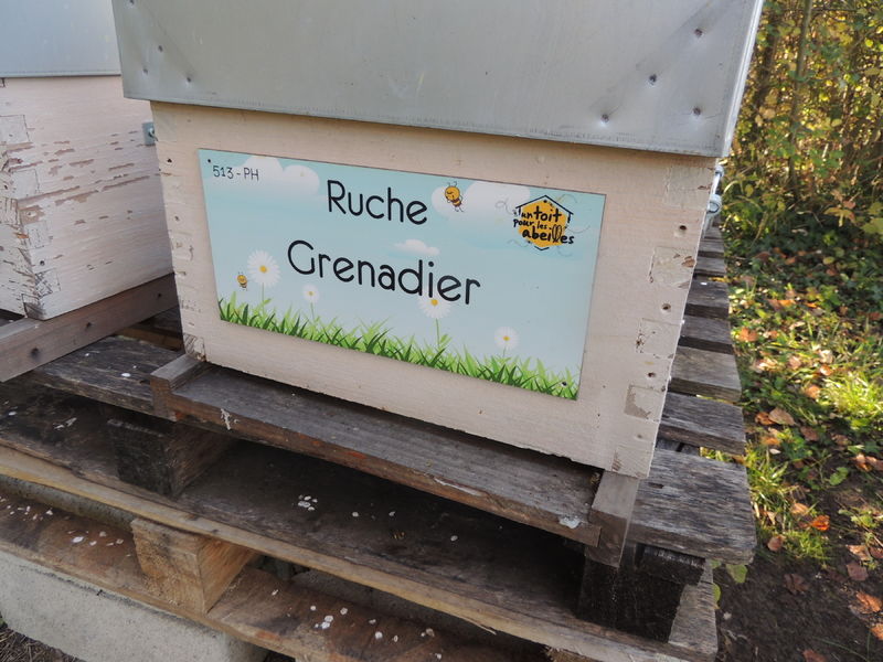 La ruche Grenadier