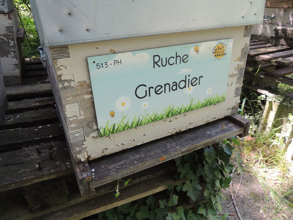 La ruche Grenadier