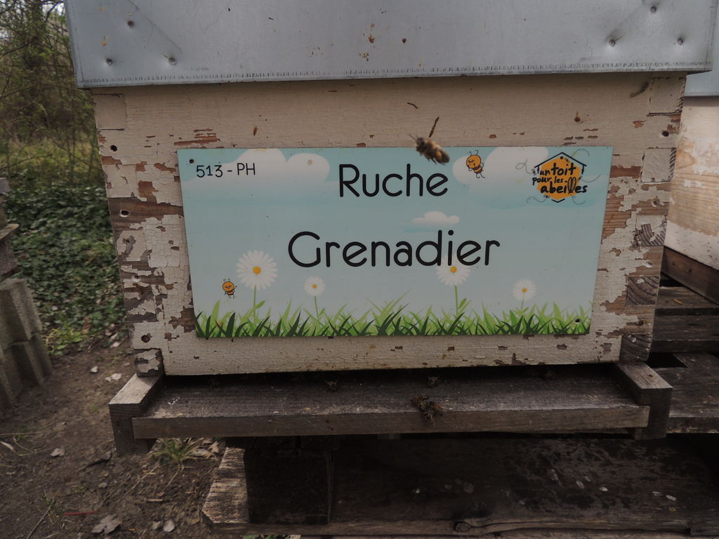 La ruche Grenadier