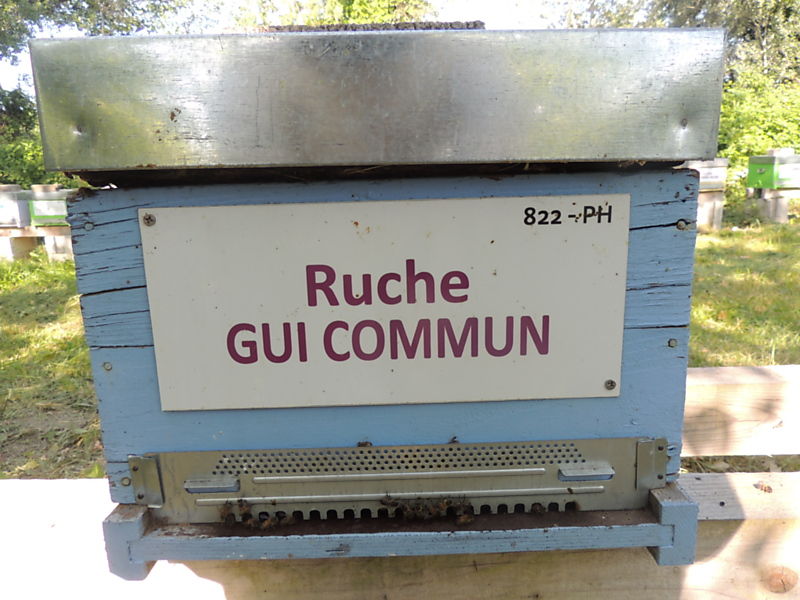 La ruche