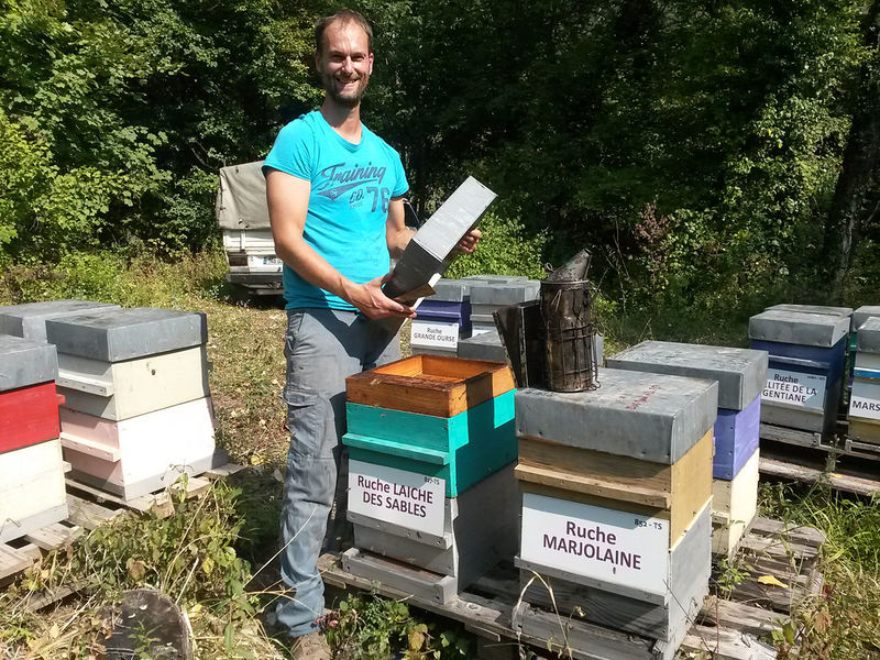 La ruche Laiche des sables