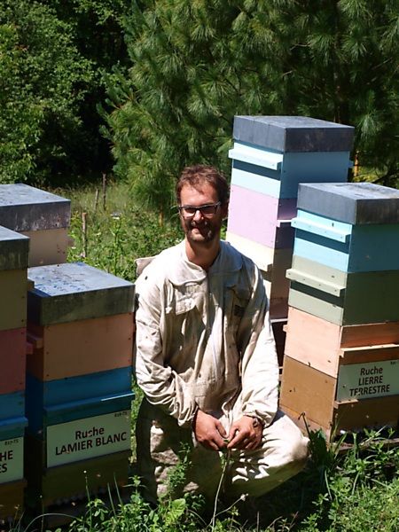 La ruche Lamier blanc