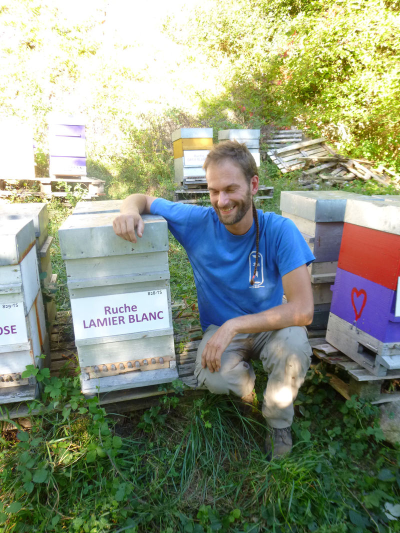 La ruche Lamier blanc