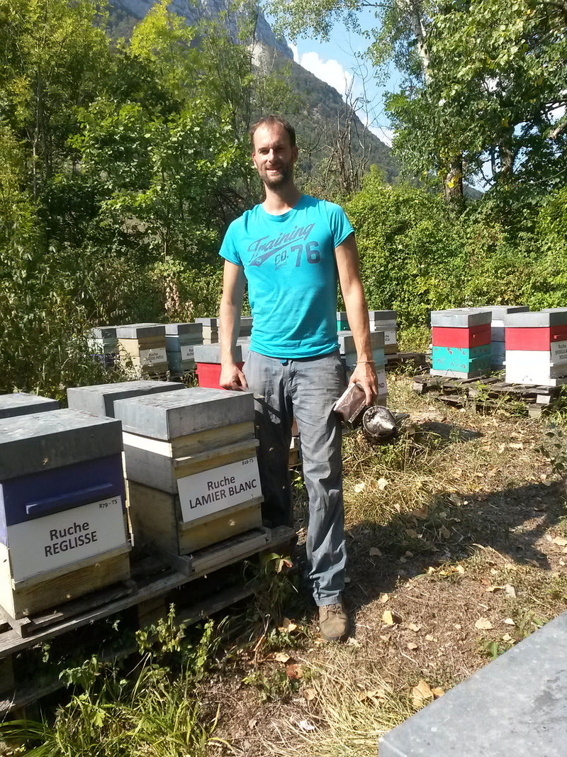 La ruche Lamier blanc