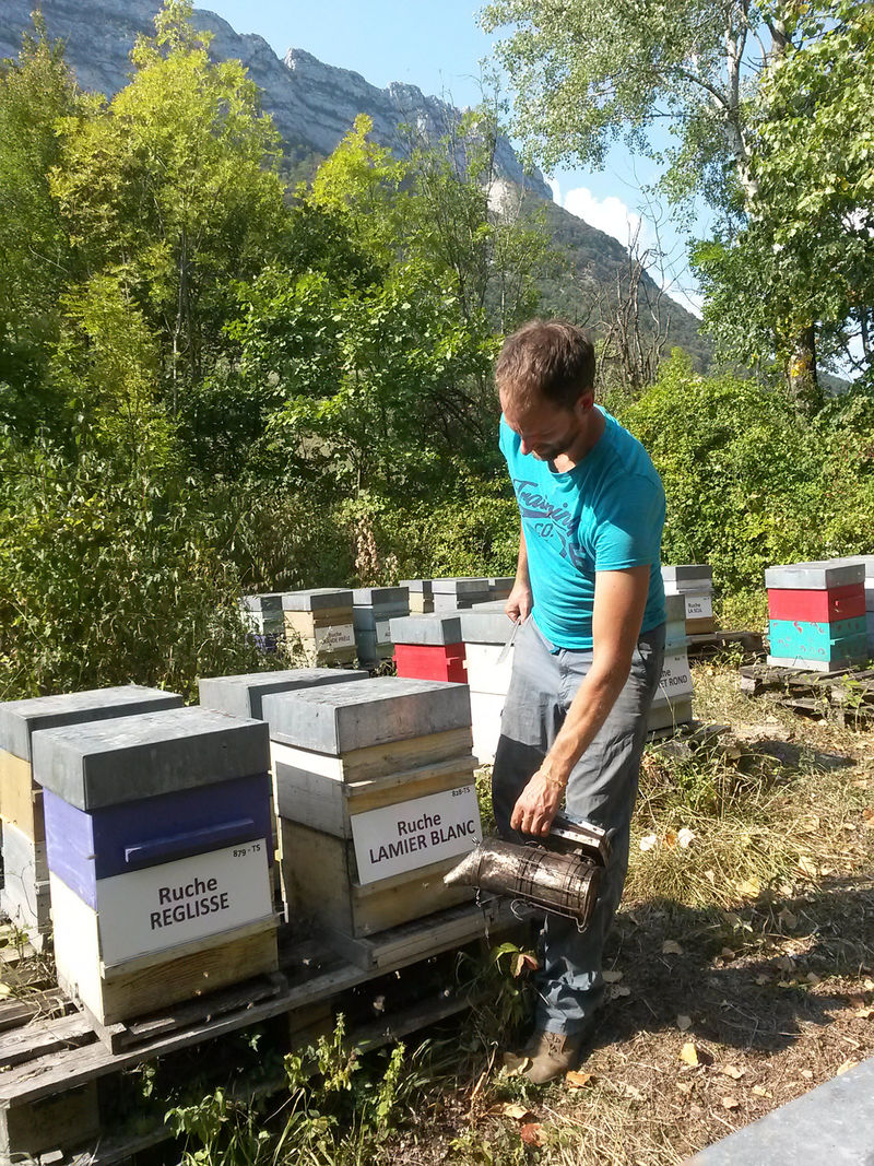 La ruche Lamier blanc