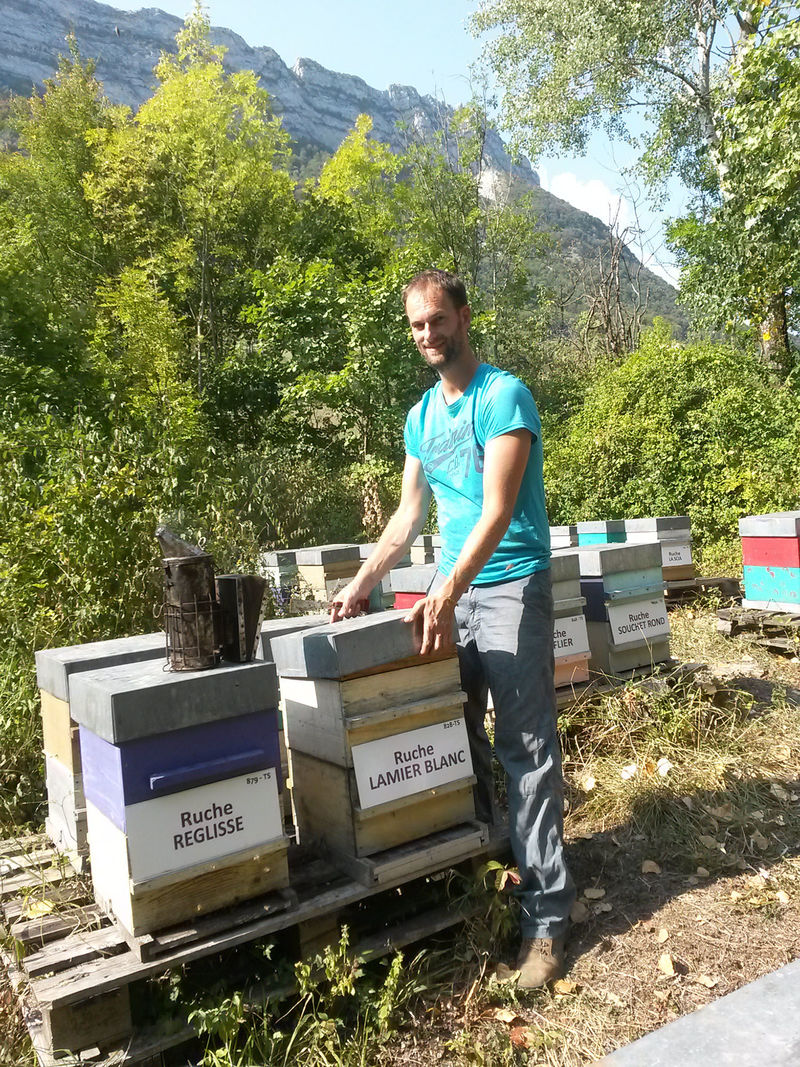 La ruche Lamier blanc