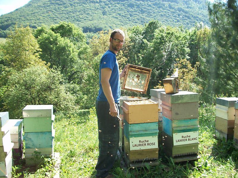 La ruche Laurier-rose