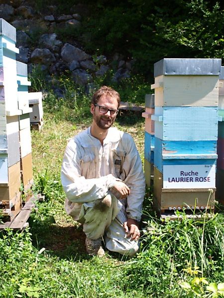 La ruche Laurier-rose