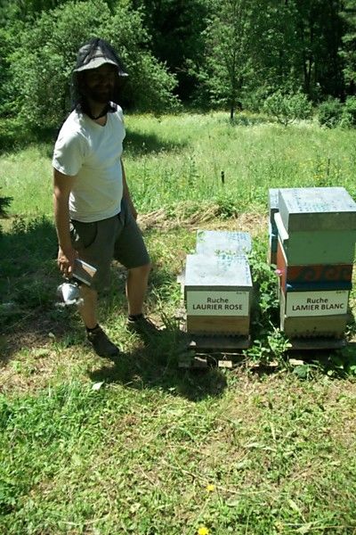 La ruche Laurier-rose