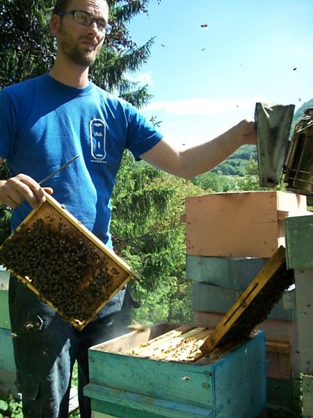 La ruche Laurier-rose