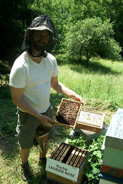 La ruche Laurier-rose