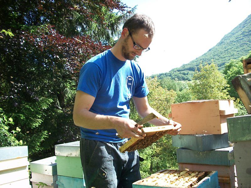 La ruche Laurier-rose