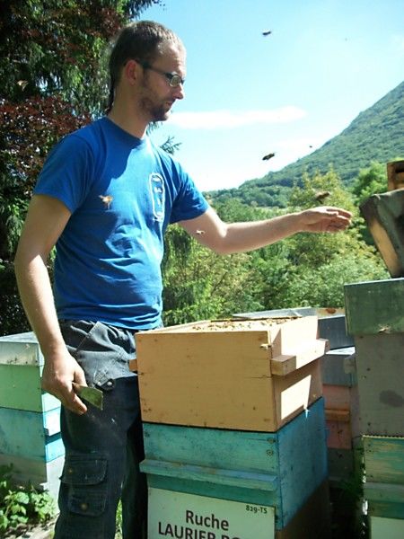 La ruche Laurier-rose