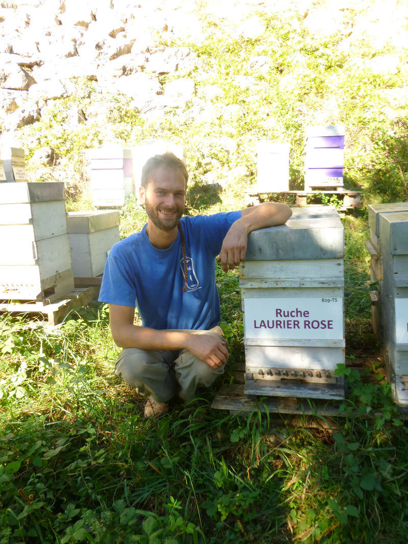 La ruche Laurier-rose