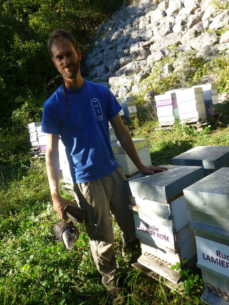 La ruche Laurier-rose