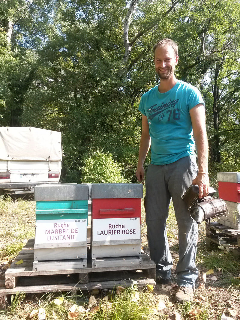 La ruche Laurier-rose