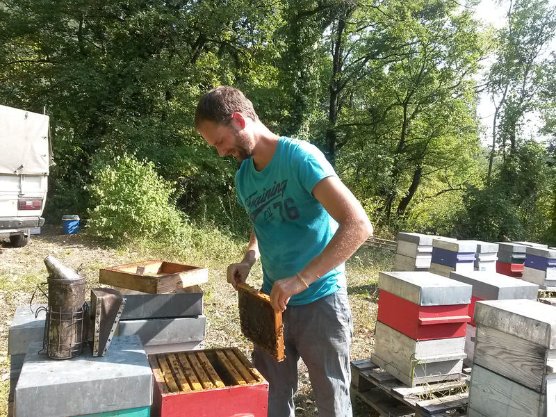 La ruche Laurier-rose