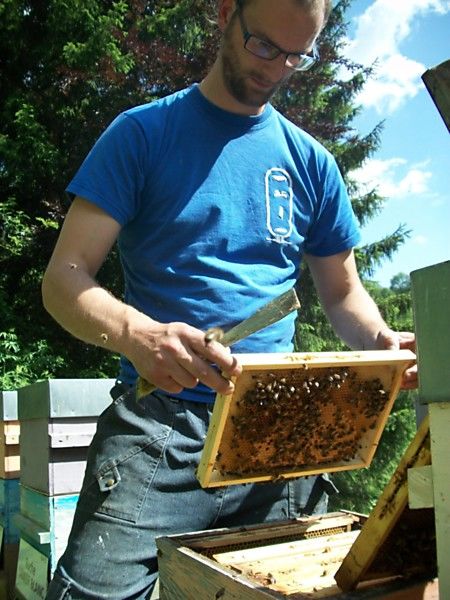 La ruche Lierre terrestre