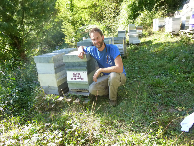 La ruche Lierre terrestre