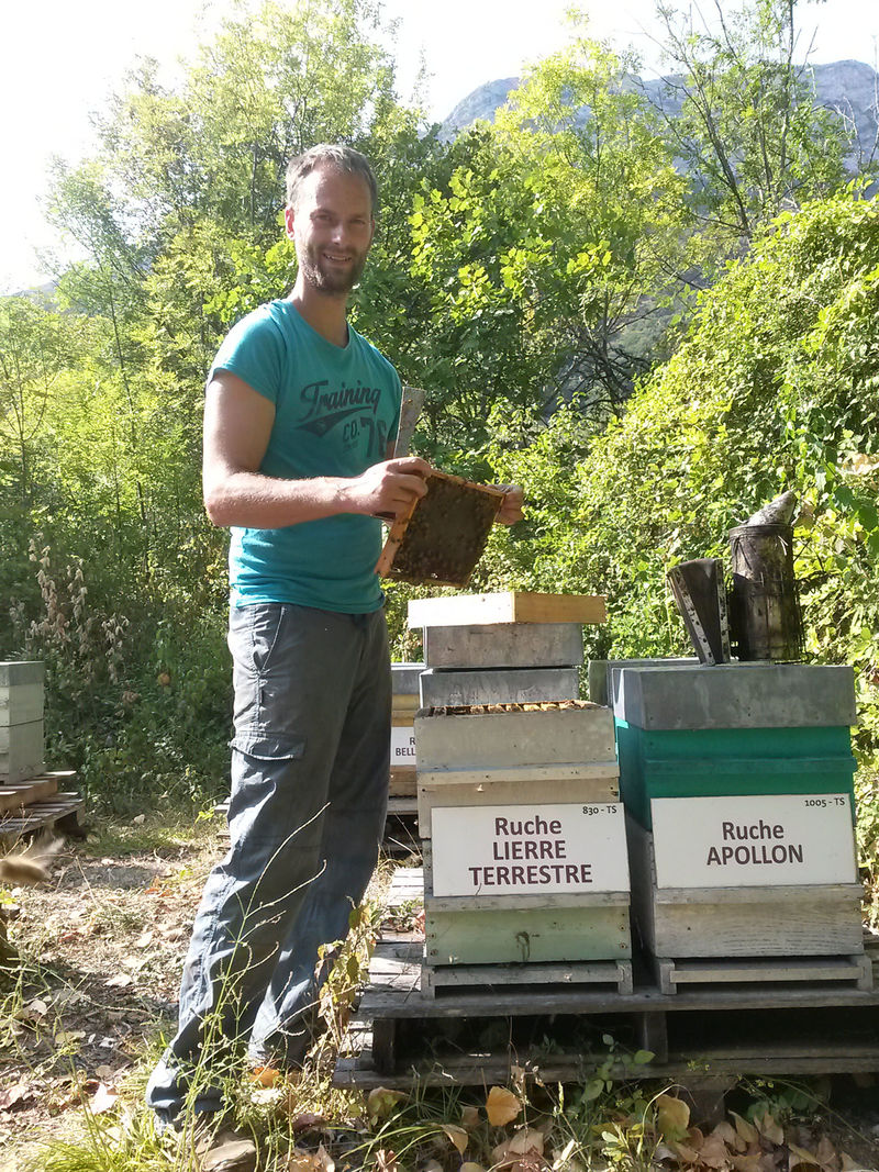 La ruche Lierre terrestre