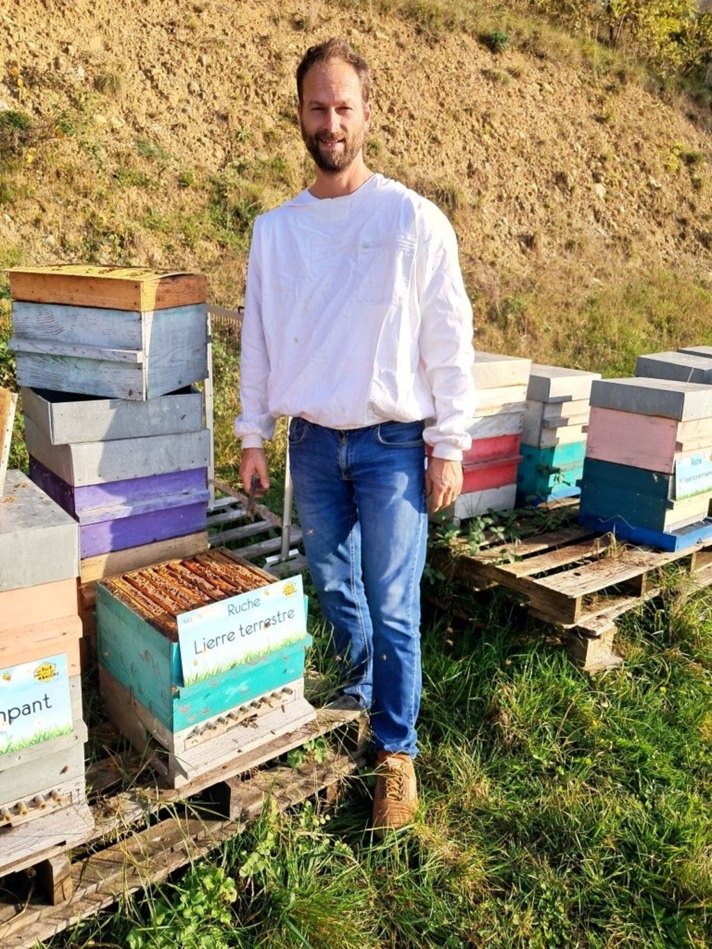 La ruche Lierre terrestre